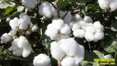 Ч��ߵĶԻ���(20121212)