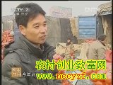 蔬菜行情调查(20130119)