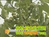 ��������Ʒ�ֽ���(20130220)