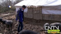 �ؼ�ʱ�̵õ����ΰ����ı���(20130228)