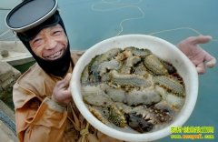 投石入海带来的财富(20130320)