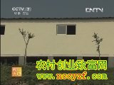 宜昌白山羊养殖技术视频(20130417)