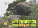 海南东山羊养殖技术(20130521)