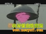 [ũ]ֲﲹ֪