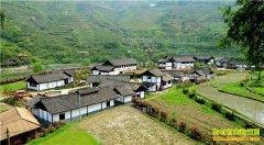 2017年贵州省重点扶持哪些农村致富项目?