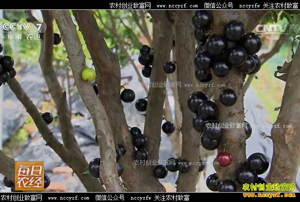 [ÿ��ũ��]�����ѿ����۽�